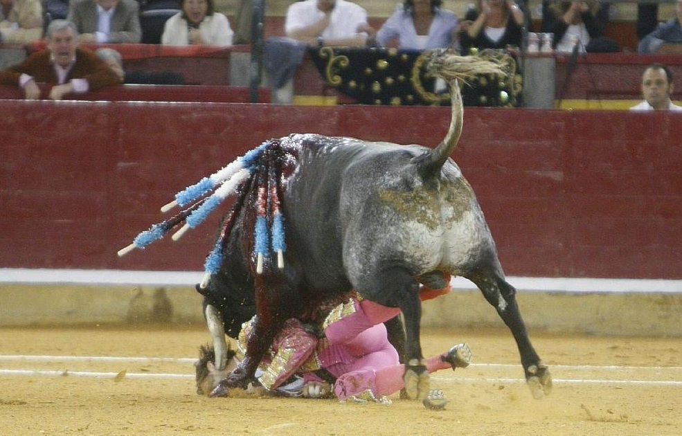事故 動画あり 牛の角が 顔面を スペインの闘牛士 のブログ 事故 動画あり 牛の角が 顔面を スペインの闘牛士 のブログ