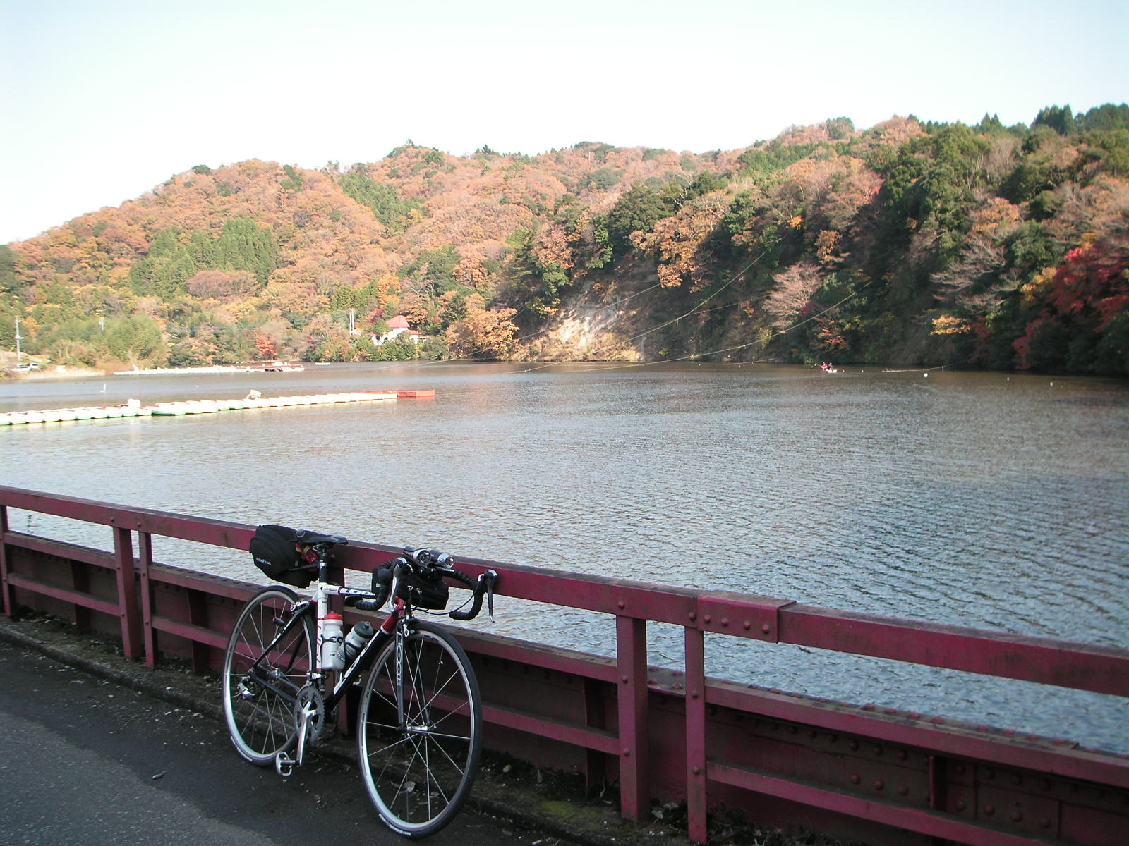 ＬＳＤ十番勝負 その２ 「清和県民の森」再び : 自転車Ｒｉｄｅ＆釣り 