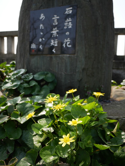 P1070488