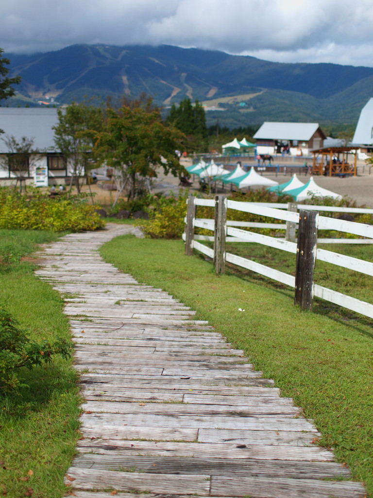 ひるがの高原 牧歌の里 Part1 In Daily Life 日常生活の中で