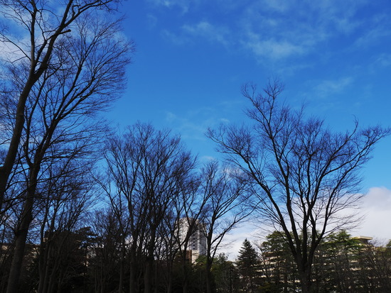 P3142282_PRF