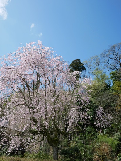P1070586