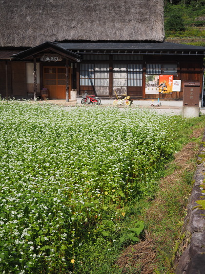 P9270076_PRF
