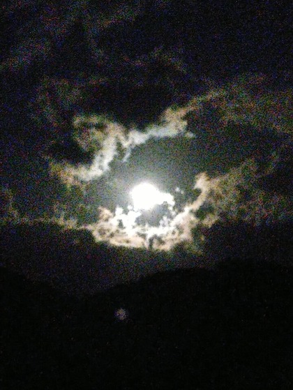 Lumii_20210920_201809370