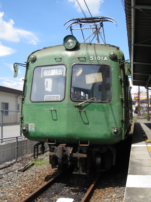 青ガエル2