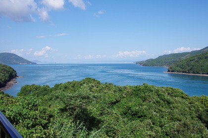 IMGP2308