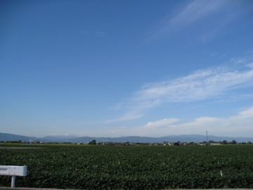 佐賀平野