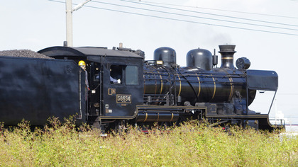 IMGP3080