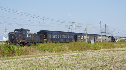 IMGP3082