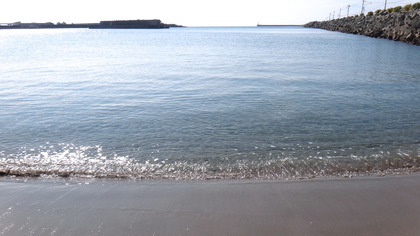 DSC00504