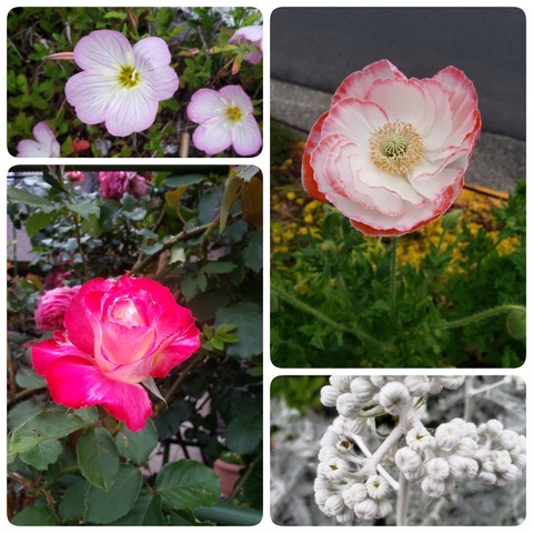 19-05-09-07-13-14-542_deco