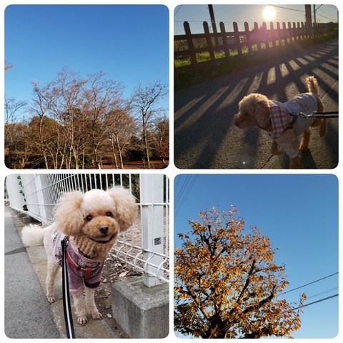 18-12-14-13-43-25-101_deco