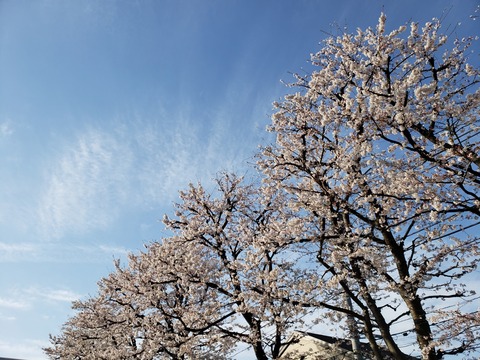 20190405_071701