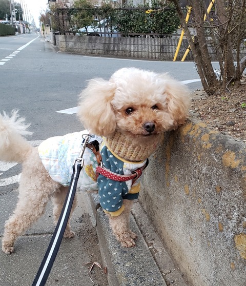 19-03-25-07-10-43-898_deco