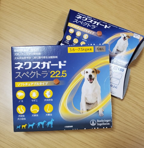 19-05-10-08-20-12-336_deco