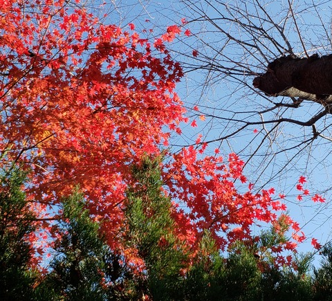 18-12-15-16-29-22-764_deco