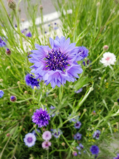 19-04-03-07-54-09-884_deco