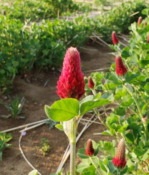 19-04-21-06-41-55-418_deco