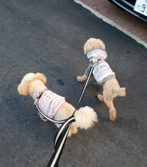 19-04-01-09-03-17-490_deco