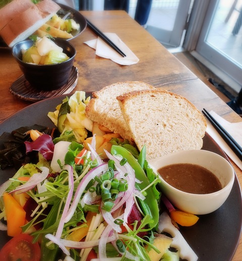 19-03-07-07-18-49-079_deco