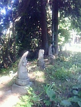 10321985.jpg