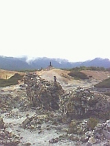 22d4f844.jpg