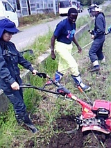 2315d8ff.jpg