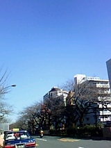 5446cbc9.jpg