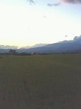 55df9c92.jpg