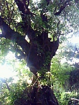 5d16e78f.jpg