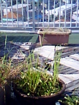 62351558.jpg