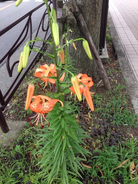 2014-07-15-06-34-58