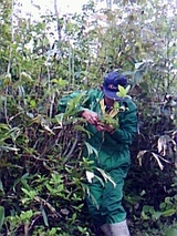 8fcac956.jpg
