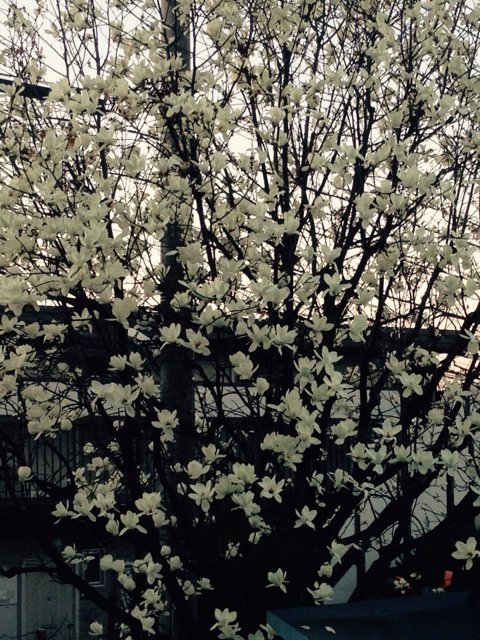 2015-03-24-05-45-44