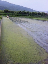 935b97b0.jpg