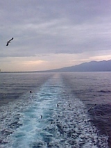 c32a7e4d.jpg