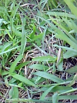 c45f72d2.jpg