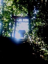 dd9a6359.jpg