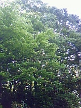 f030384a.jpg