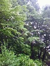 f033a1e2.jpg