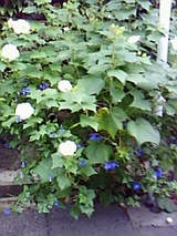 f58676d6.jpg