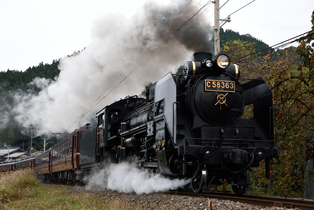 ＊入手困難＊　C58 パレオエクスプレス　おまけ付き 走る宝石天賞堂のC58－363号機パレオエクスプレス | HO
