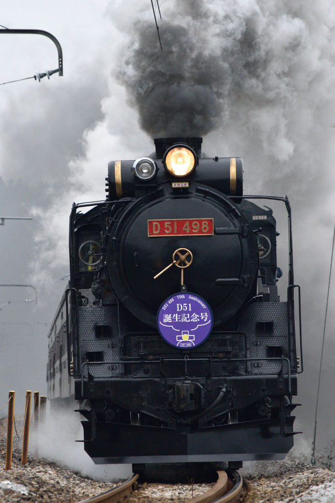 赤プレート＆赤いサイドロッドで運行したD51誕生記念号 2015/11/23