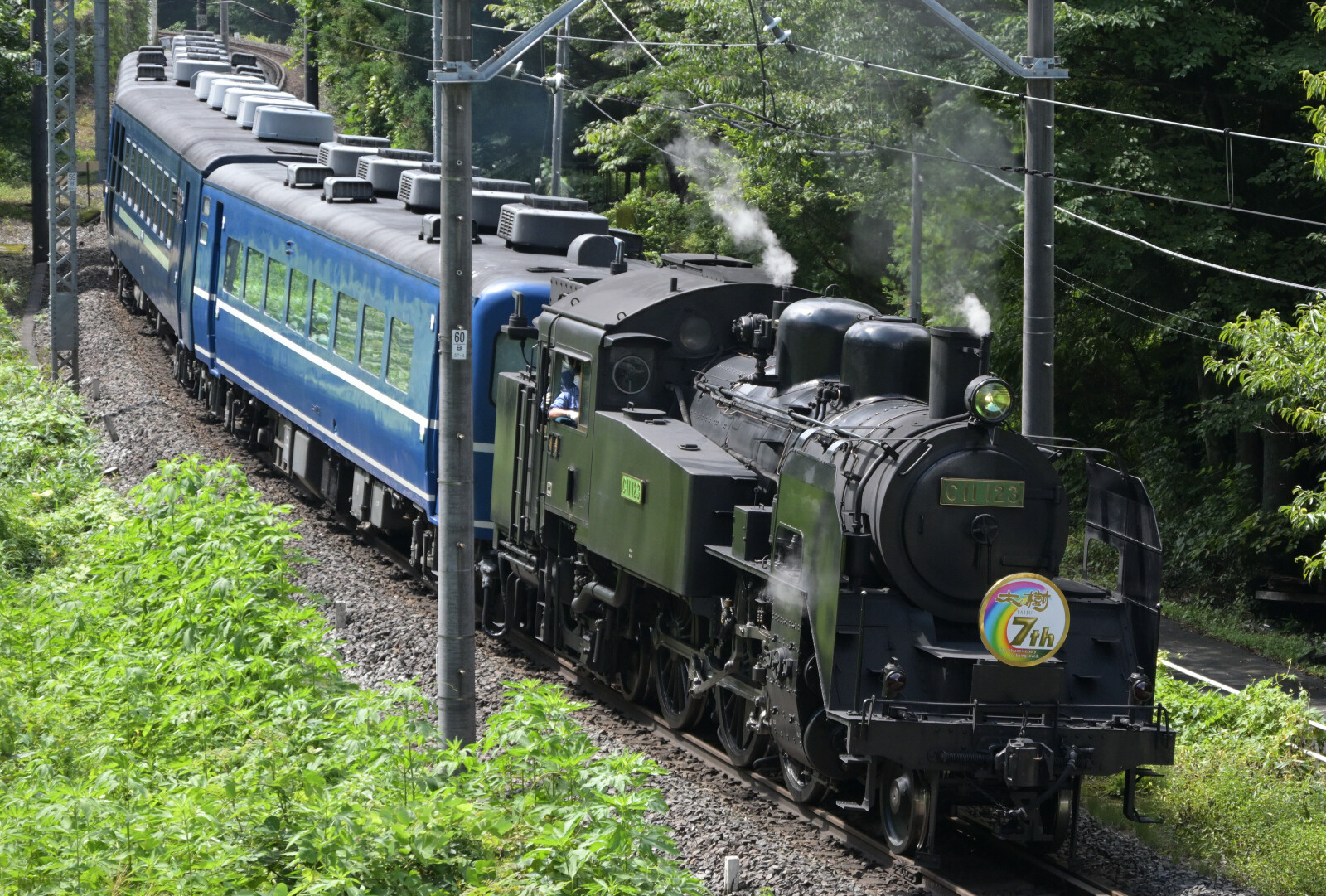 激レア】東武鉄道SL大樹ロゲットカード① 【公式通販】