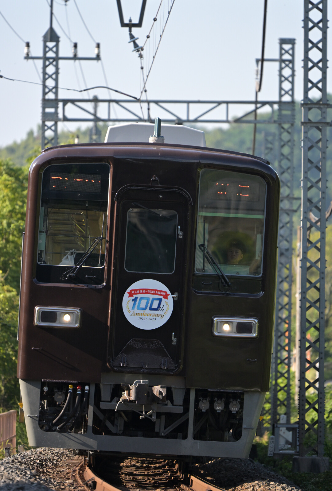 東武鉄道 8000系 ぶどう色1号カラー 2025/08/15 : 新デジカメ鉄道風来記