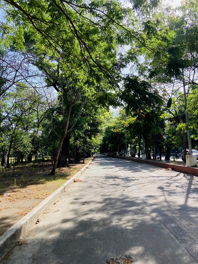 20250429_Manila_Jog (14)