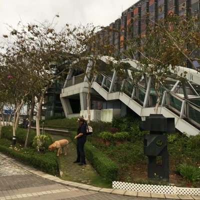 hongkong (17) (640x640)