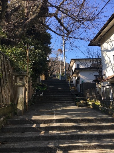 20170303_atami (5) (480x640)