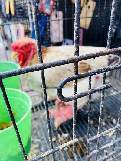 20250301_SGN_Jog (47)