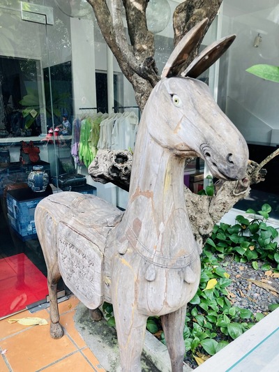 20250301_SGN_Jog (35)